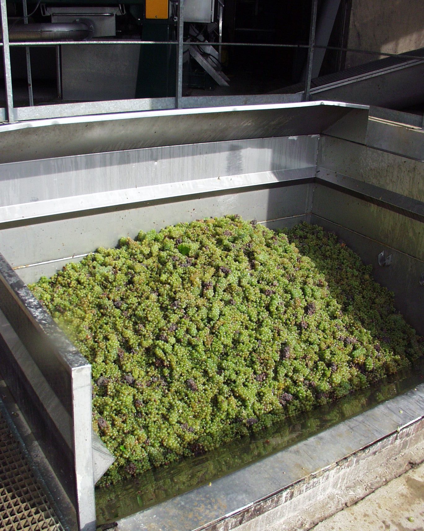 Conditions de production des vendanges 2024