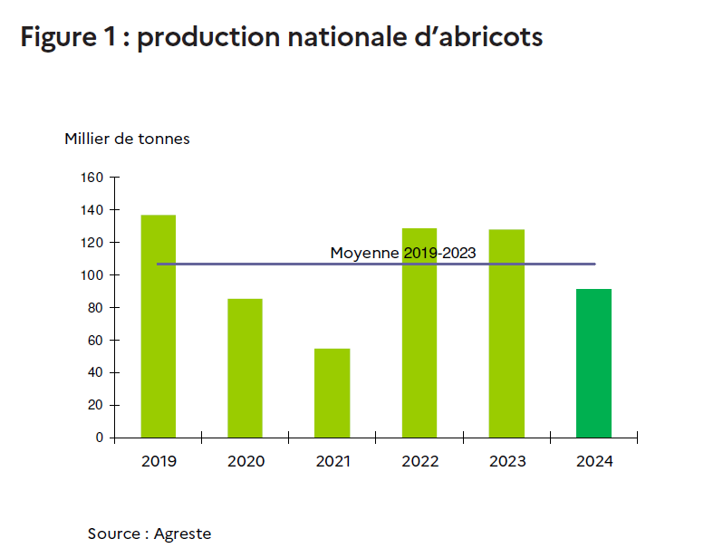 Chute de la production d’abricots