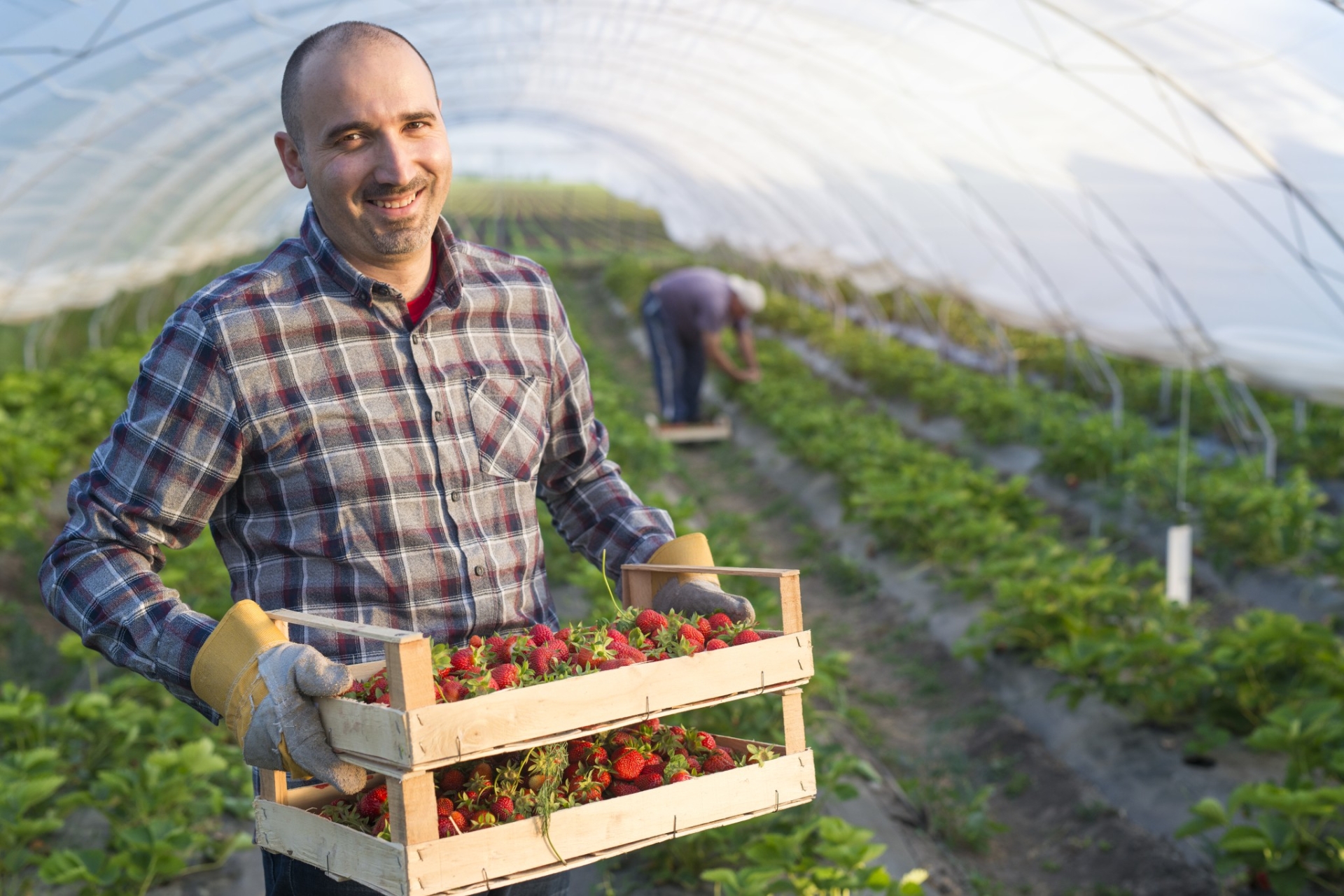 Les métiers agricoles, leviers d’insertion professionnelle