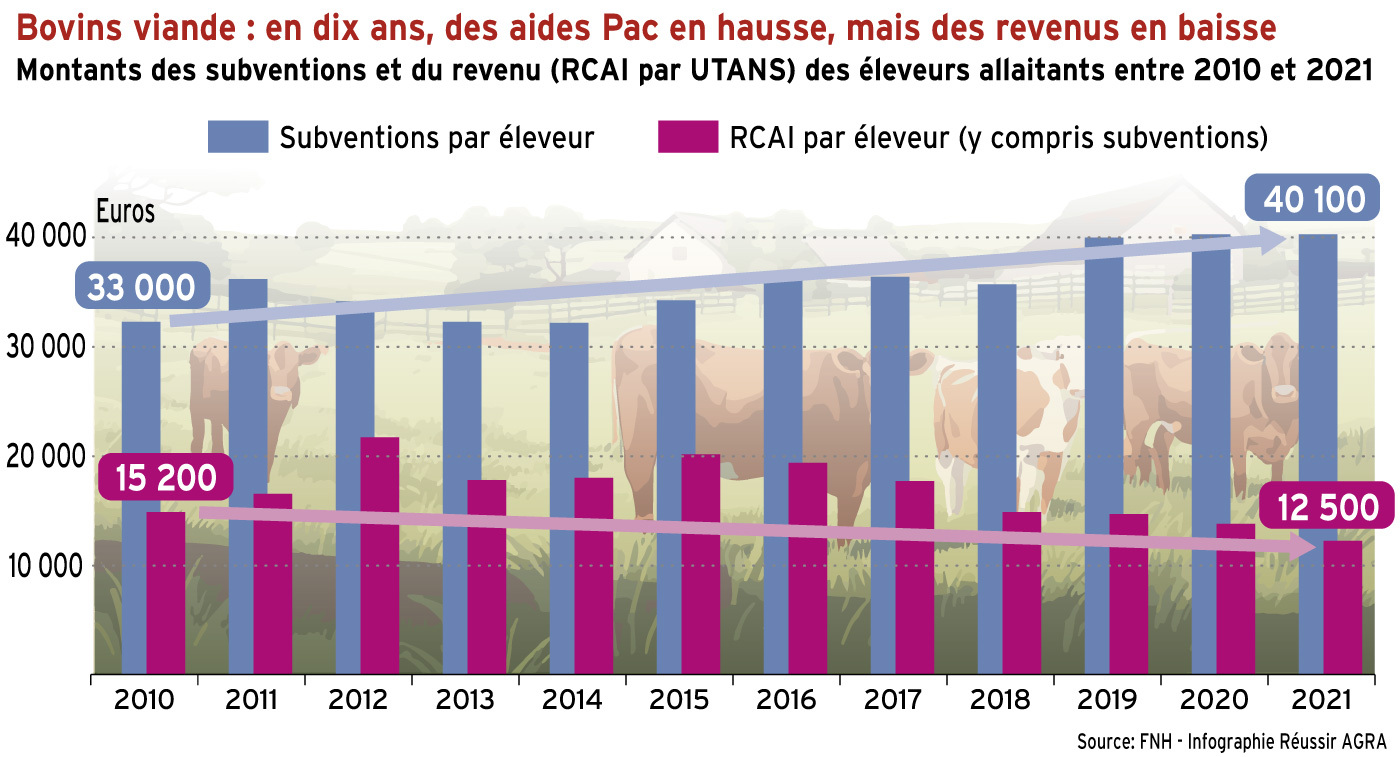 Bovins viande : en dix ans, des aides Pac en hausse mais des revenus en baisse