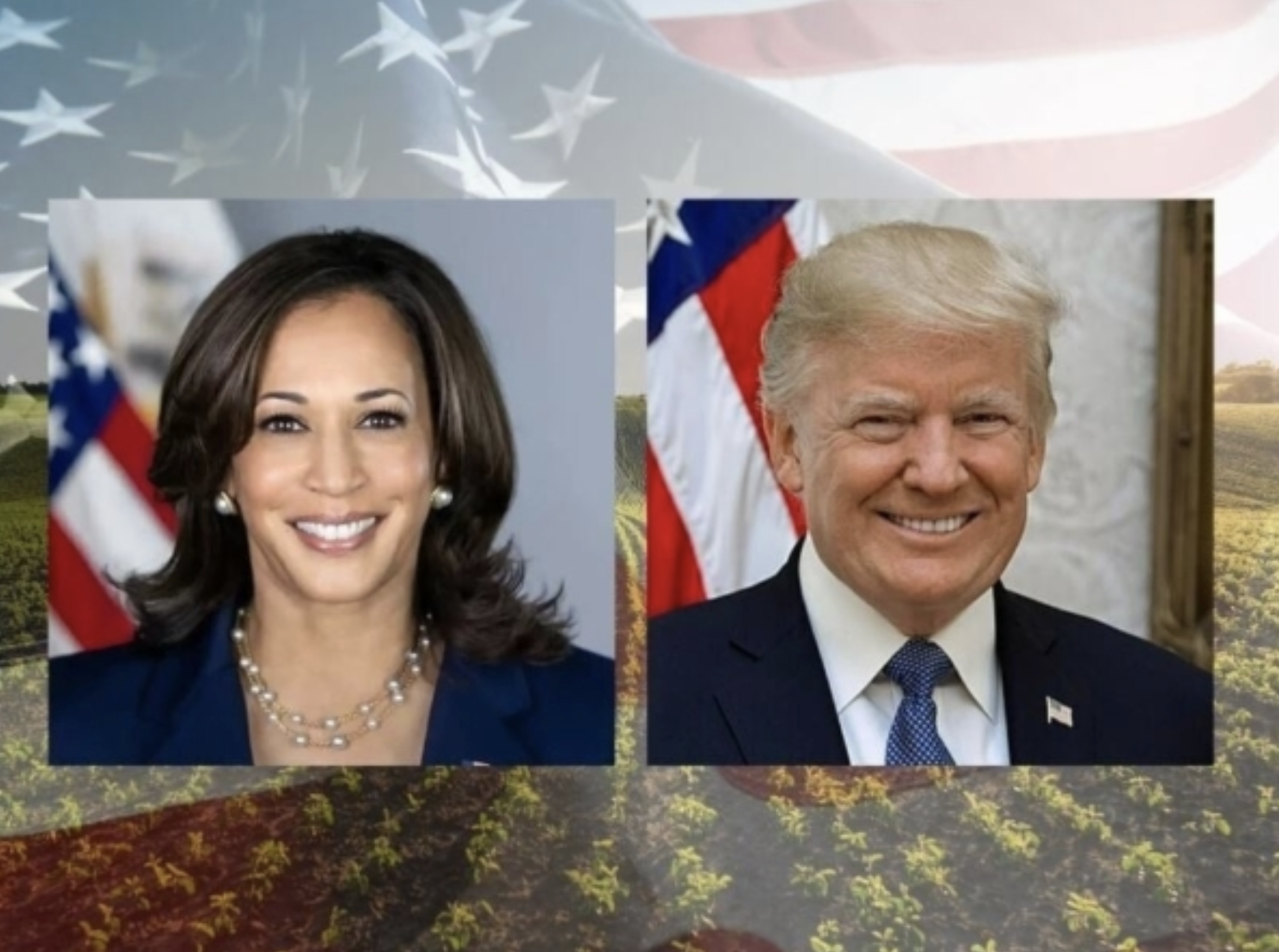 Quels sont les engagements de Trump et Harris sur l’agriculture ?