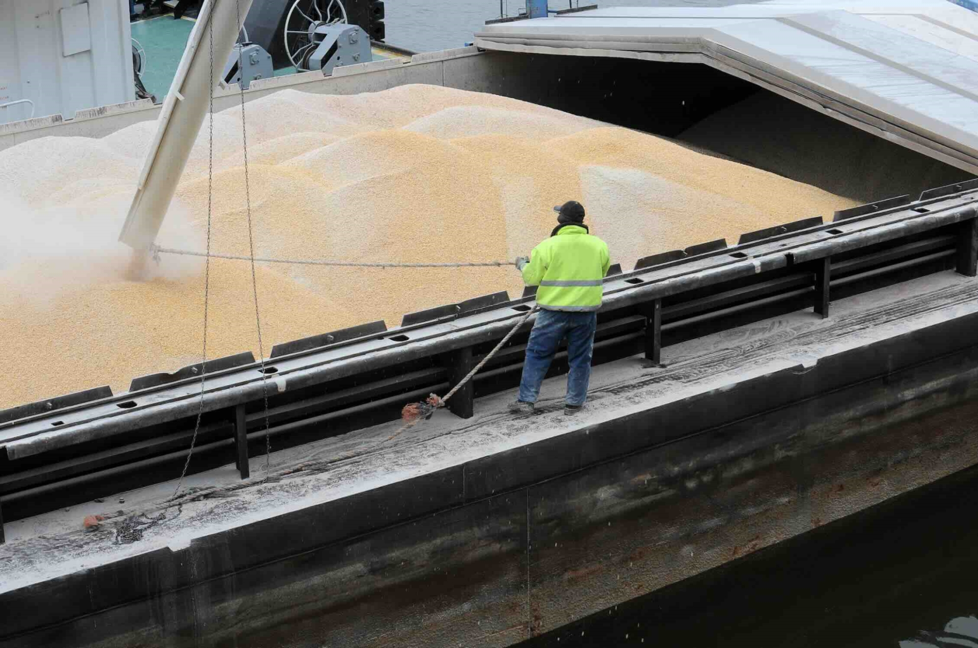 La France chahutée à l’export sur le marché du blé 