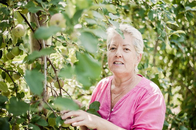 « Il faut que les fruits et légumes deviennent d’intérêt public »