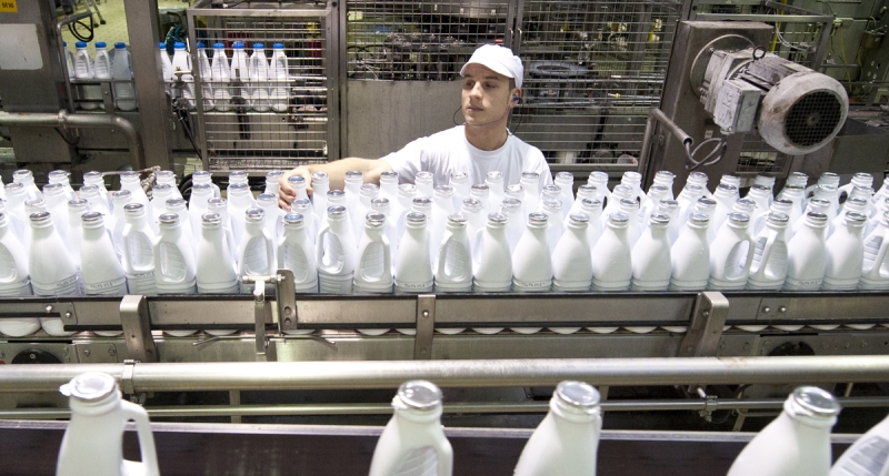 La transformation laitière, des métiers porteurs de sens